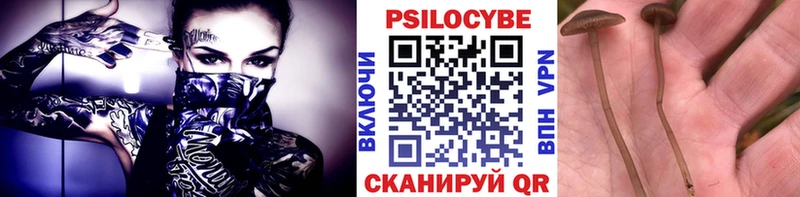 Галлюциногенные грибы MAGIC MUSHROOMS  магазин  наркотиков  Славск 